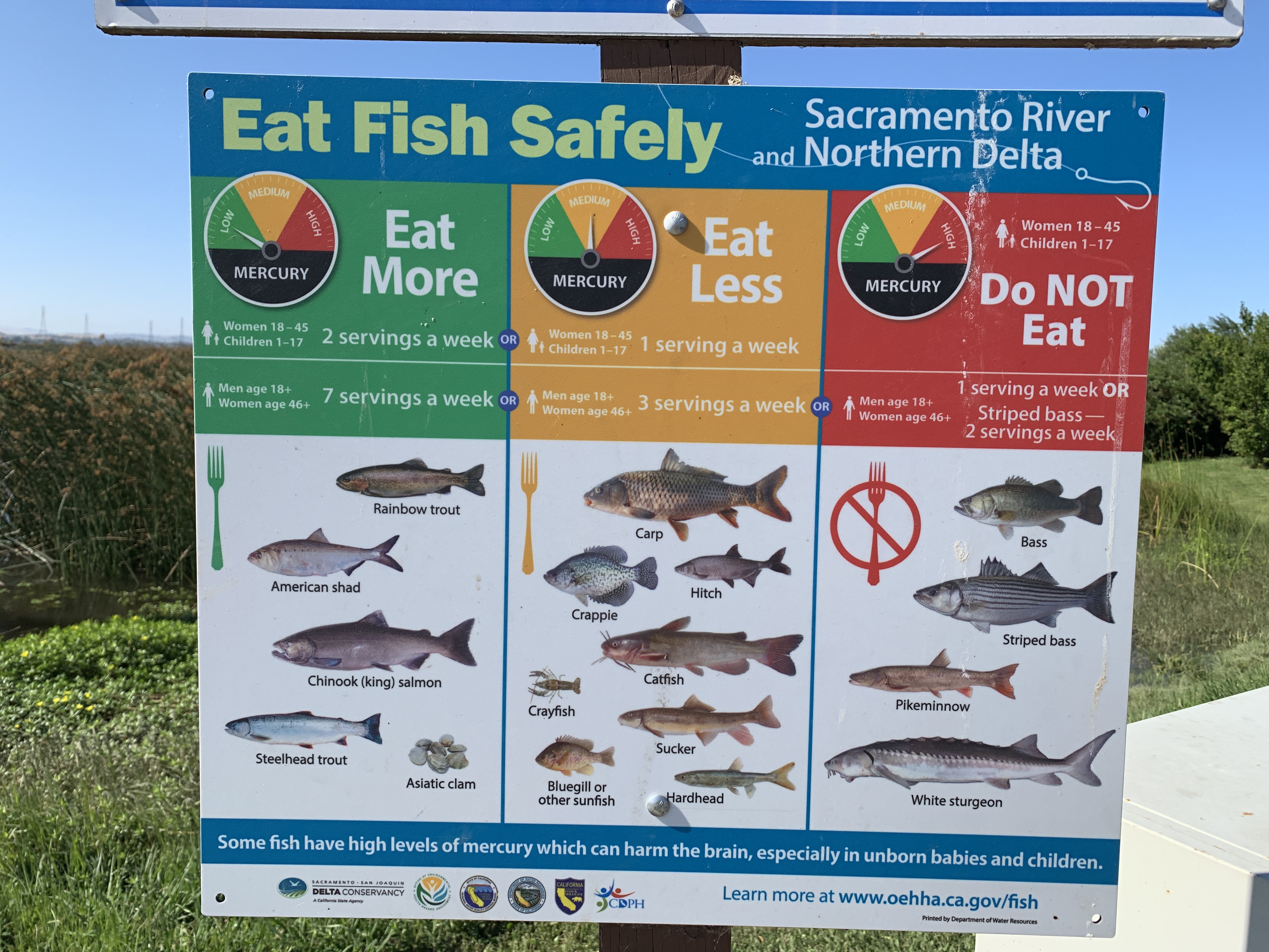 Sign - Eat Fish Safely